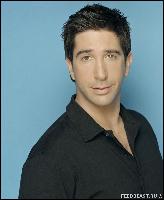 david_schwimmer045 (800x980, 83 kБ...)